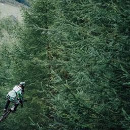 Lakeside Agriculture International