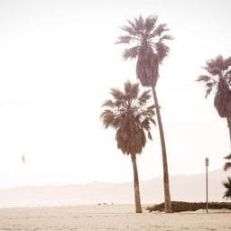 Zenith Machinery Inc. 34215