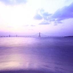 Maple Home Goods Inc.