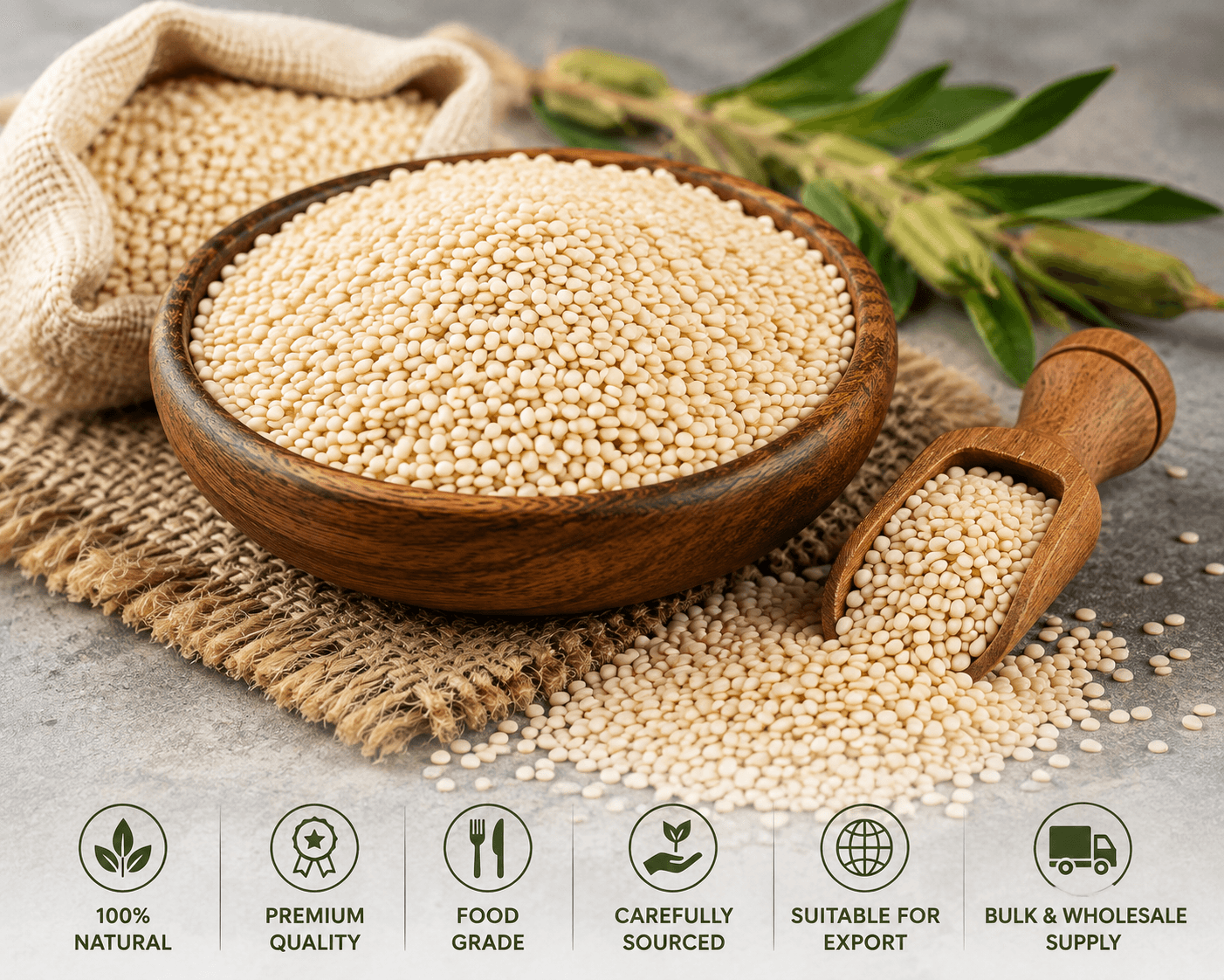 Natural Hulled Sesame Seeds – Premium Quality Agricultural Sesame Seed for Wholesale Export