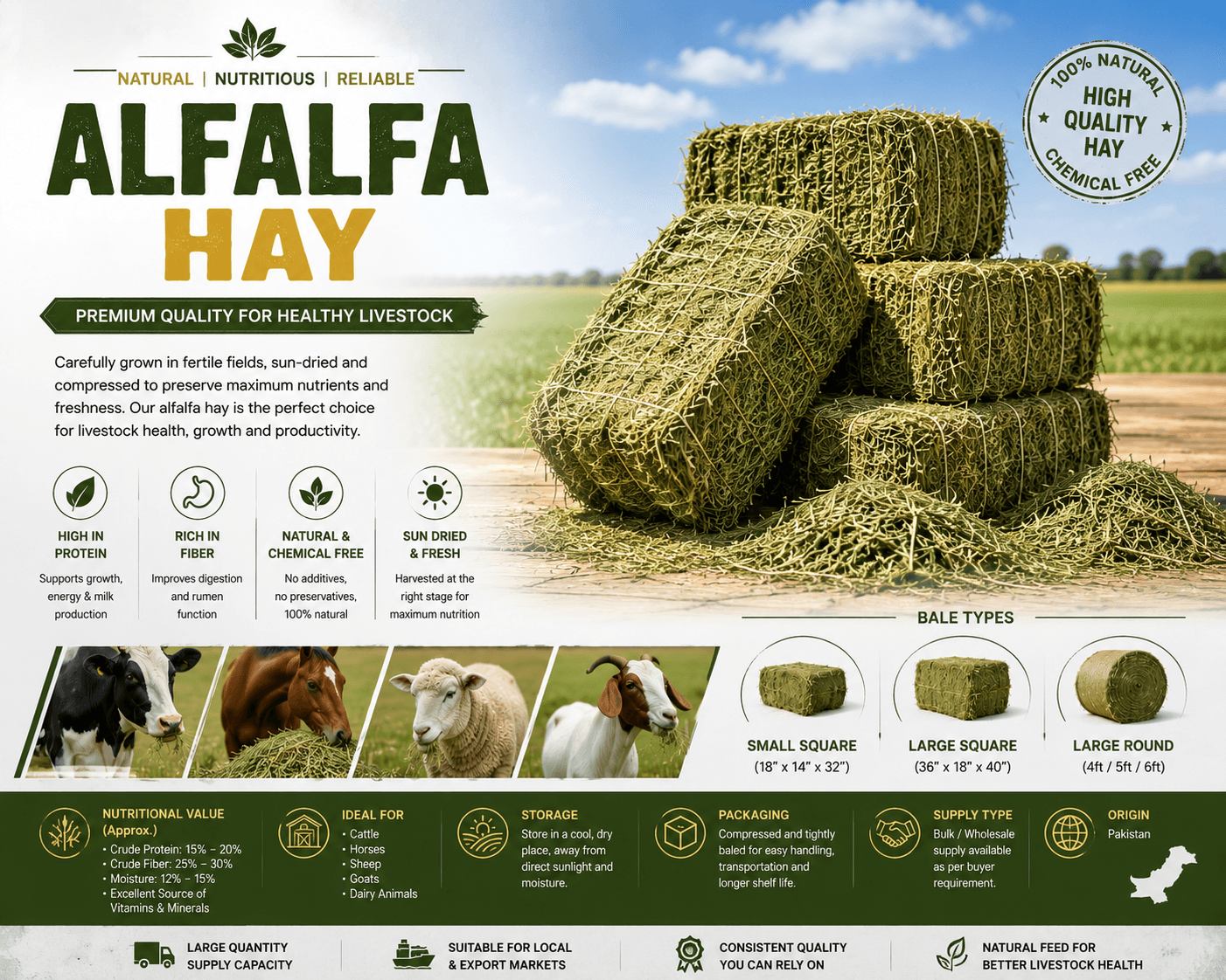 Premium Alfalfa Hay – High-Quality Dried Hay for Livestock Feed & Wholesale Supply